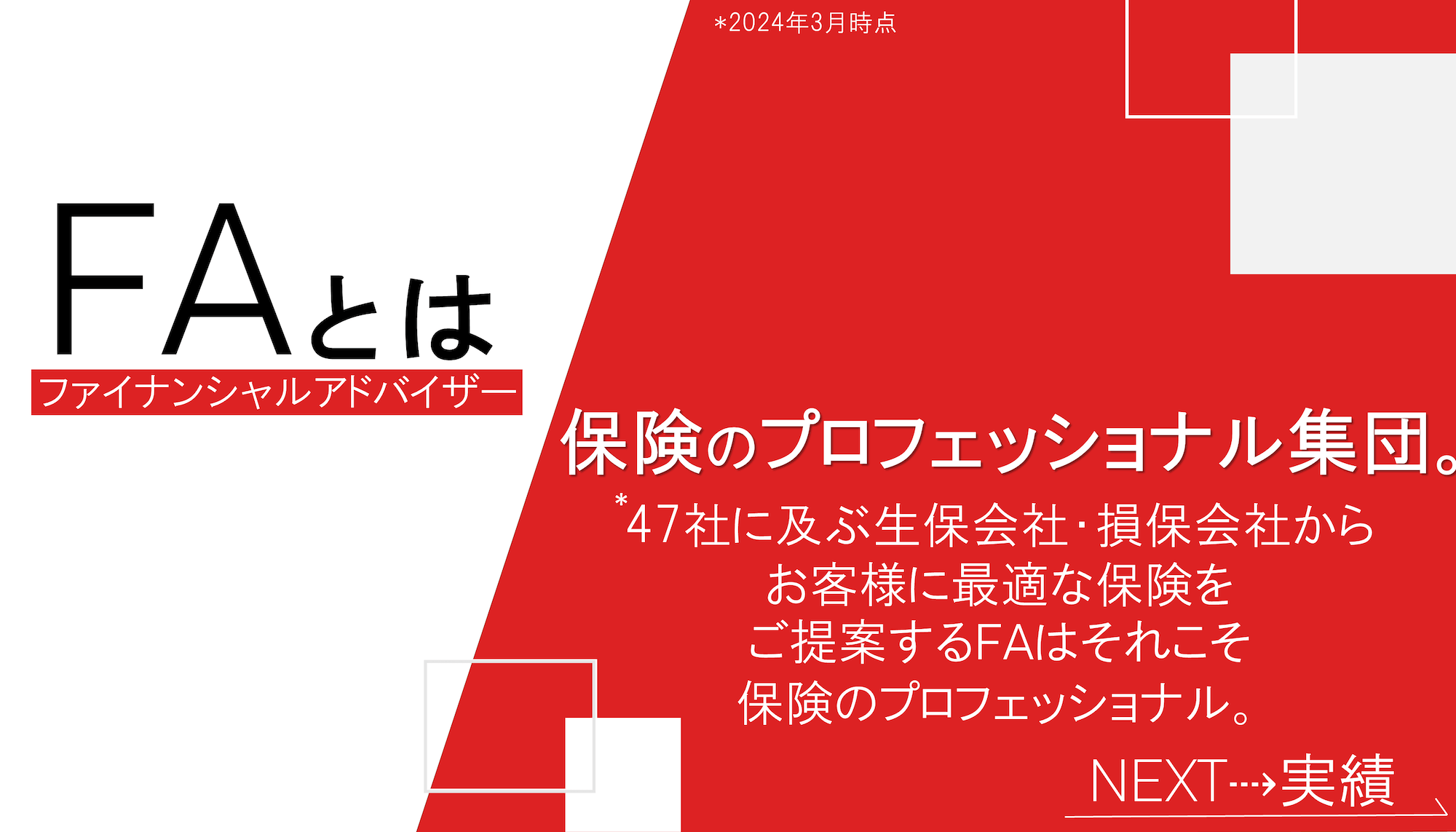 株式会社ライフプラザーパートナーズ 会社説明